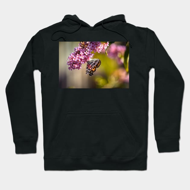 American Lady Butterfly Hoodie by blossomcophoto